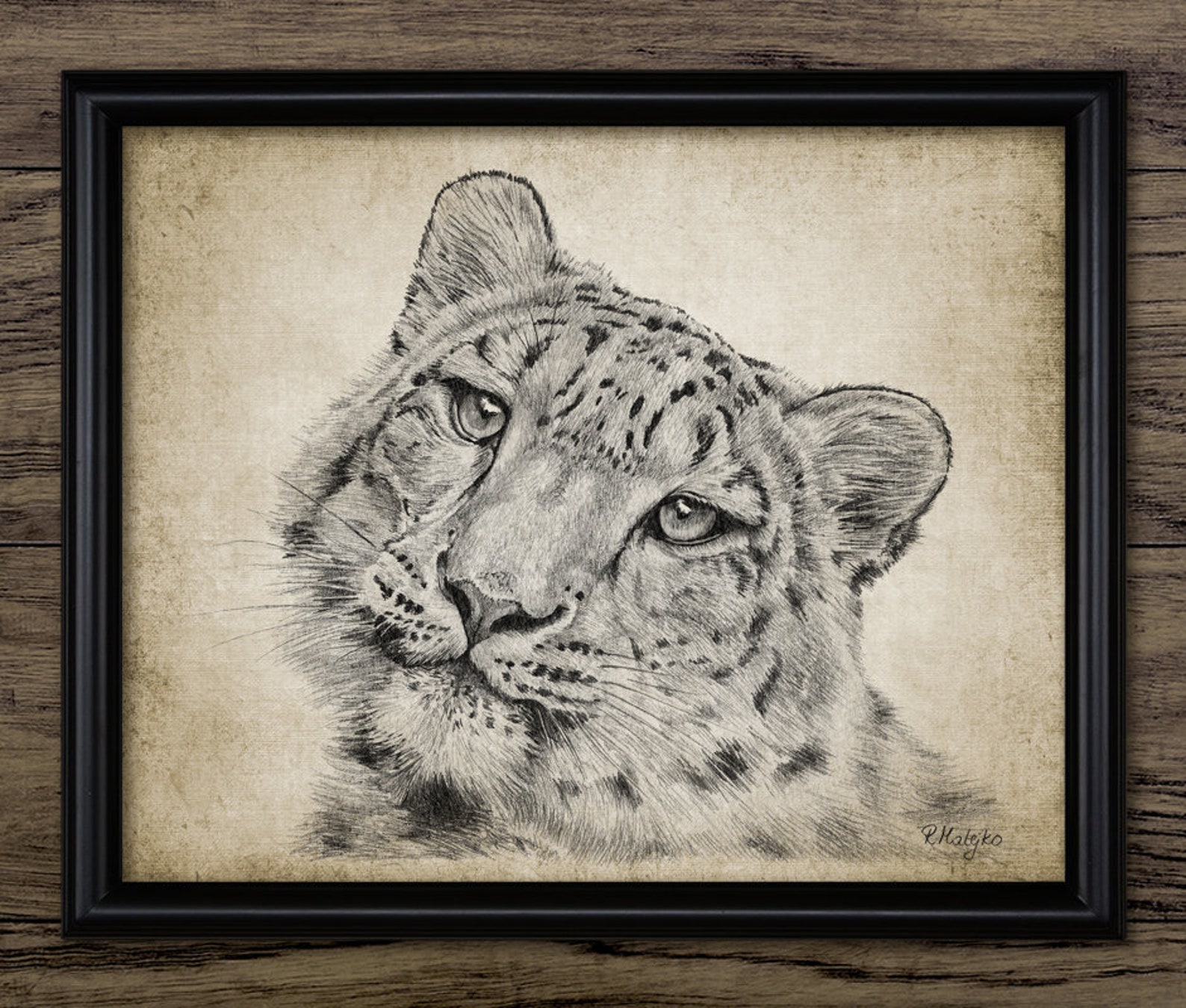 Snow Leopard Pencil Drawing Printable Snow Leopard Drawing - Etsy