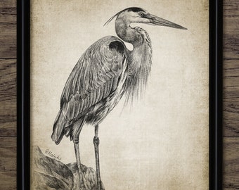 Reiher Bleistiftzeichnung, Reiher Zeichnung, Reiher Vogel Dekor, Wasservögel Kunst, Vogel Wandkunst, Süßwasservogel #3360 SOFORTIGER DOWNLOAD