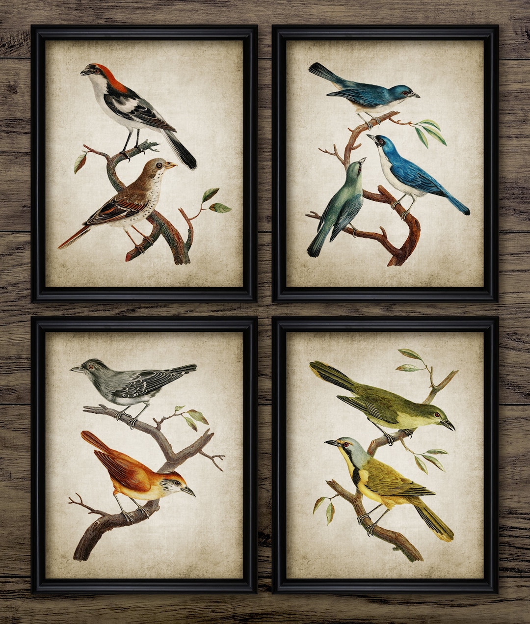Vintage Bird Wall Art Set of 4, Printable Birds, Bird Living Room, Bird ...