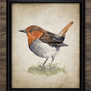 Robin Watercolor Painting, Printable Robin Painting, Robin Bird Wall Art, Garden Bird, Cute Bird Wall Art #3454 INSTANT DOWNLOAD