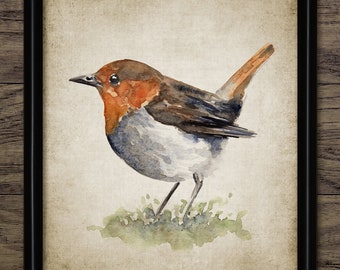 印刷可能なロビンの水彩画、ロビンのコマドリの絵画、英国の鳥の装飾