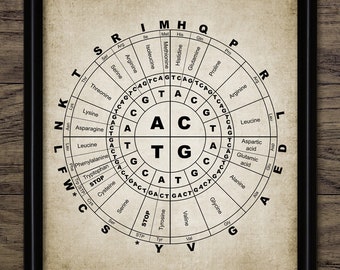 Biochemistry Science Art Print, Amino Acid Base Pair, Protein, DNA, RNA, Genetics, Molecular Biology, Genetic Code, #3135 Instant Download