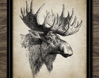 Vintage Moose Wall Art, Printable Moose, European Elk, Moose Antlers, Big Game Hunting  #951 INSTANT DOWNLOAD