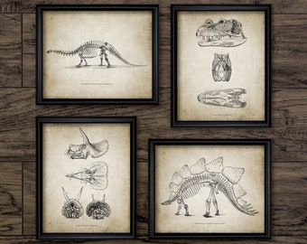 Dinosaur Wall Art Set van 4, Brontosaurus Skeleton Anatomie, Triceratops, Stegosaurus, prehistorische Vintage Dinosaur Art #3088 INSTANT DOWNLOAD