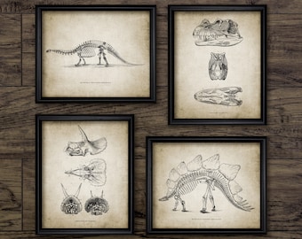 Dinosaur Wall Art Set van 4, Brontosaurus Skeleton Anatomie, Triceratops, Stegosaurus, prehistorische Vintage Dinosaur Art #3088 INSTANT DOWNLOAD