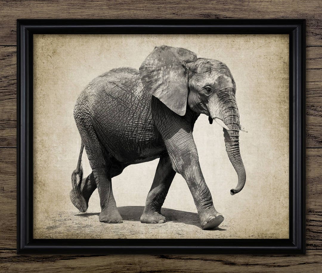 Elephant Art Print Elephant Wall Art Elephant Printable Art Elephant ...