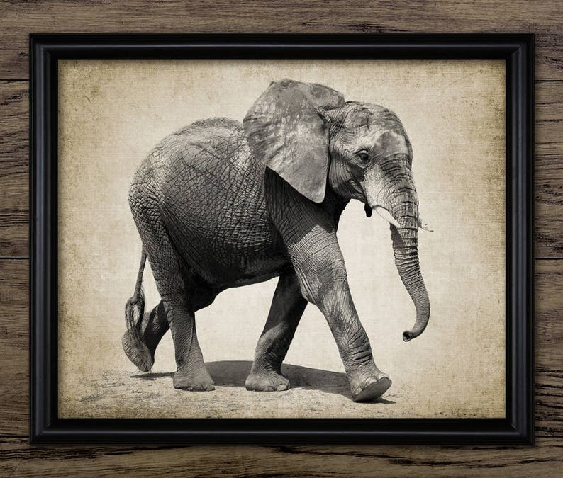 Elephant Art Print Elephant Wall Art Elephant Printable Etsy