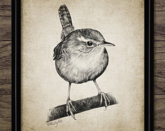 Wren Bleistiftzeichnung, druckbare Wren Zeichnung, Wren Dekor, Wren Art, Wren Vogel Wandkunst, süße Vogel Wandkunst #4011 SOFORTIGER DOWNLOAD