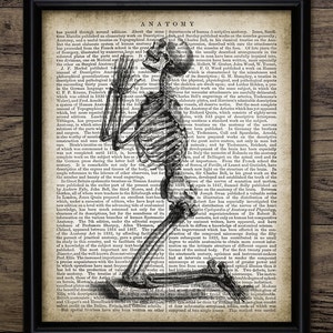 May include: A vintage black and white illustration of a human skeleton praying on a page of text from an anatomy book. The text discusses the history of anatomy and the contributions of various anatomists.