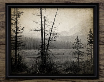 Autumn Mountain Valley Wall Art, Printable Autumn Woodland, Fall Forest Scenery, Rustic Botanical Landscape #3130 INSTANT DOWNLOAD