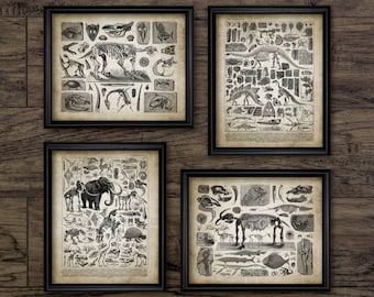 May include: Set of four black framed prints featuring vintage illustrations of prehistoric animals, including a dinosaur skeleton, a mammoth, and other extinct creatures. The prints have a white background and black text.