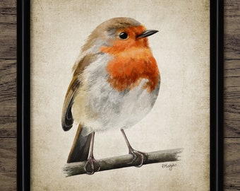 Robin Watercolour Painting, Printable European Robin, British Garden Bird, Robin Redbreast, Instant Bird Print #3885 INSTANT DOWNLOAD