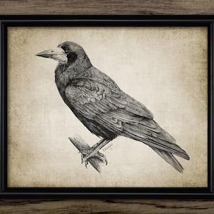 Raben-Turmreiher Bleistiftzeichnung, druckbarer Raben-Turm, Turm-Poster, Gothic-Dekor, Hexerei, schwarzer Vogel, druckbare Rook-Wand-Kunst #3525 SOFORTIGER DOWNLOAD