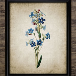 Vintage Blue Meadow Flower Wall Art, Printable Blue Flowers, Blue Floral Wall Art, Vintage Botanical Flower Art #144 INSTANT DOWNLOAD