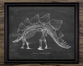 Vintage Stegosaurus Dinosaur Wall Art. Printable Fossil Skeleton, Fossil, Paleontology, Dinosaur Bedroom, Jurassic #2179 INSTANT DOWNLOAD