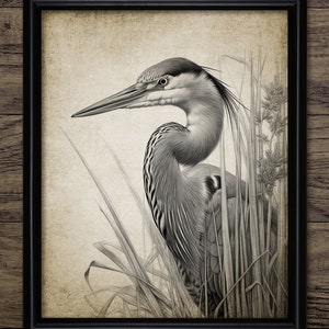 Heron Wall Art, Printable Heron, Heron In Reeds, Heron Bird Art, Freshwater Bird Watching Gift #4322 INSTANT DOWNLOAD