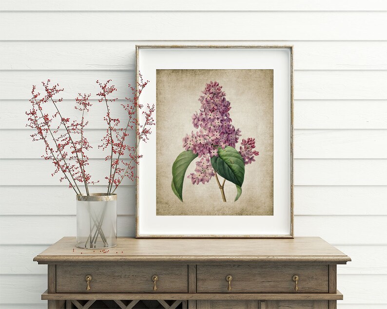 Lilac Flower Wall Art Print Rustic Wall Decor Lilac Tree Etsy