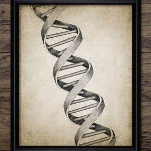 DNA-väggkonst, utskrivbar deoxiribonukleinsyra, dubbelhelix, genetisk kod, genetisk biologi, genetiker, vetenskap #2427 DIREKT NEDLADDNING