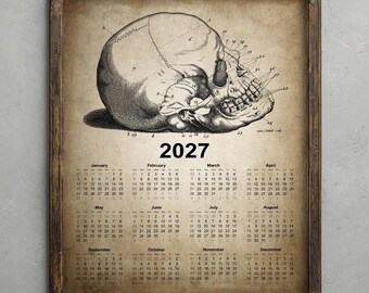Human Skull  2027 Calendar, Vintage Anatomy Poster, Medical Student Gift, Rustic Biology Decor, Antique Skull Chart Wall Art Print