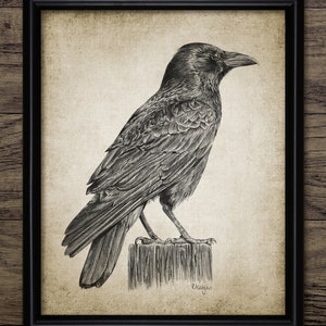 Raven Pencil Drawing, Printable Raven, Raven Poster, Gothic Decor, Corvid, Black Bird, Printable Raven Wall Art #3509 INSTANT DOWNLOAD