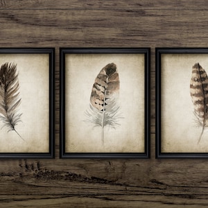 Feather Watercolor Painting Set Of 3, Printable Feather Painting, Feather Home Decor, Bird Feather Art, Brown Feather #3414 INSTANT DOWNLOAD