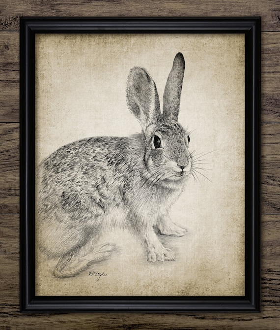 Rabbit Pencil Drawing, Printable Rabbit Drawing, Rabbit Wall Art, Rabbit Nursery Decor, Cute Rabbit Baby Room Art #3380 INSTANT DOWNLOAD