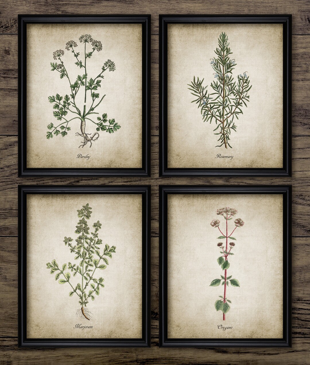 Vintage Herb Wall Art Set of 4, Printable Kitchen Herbs, Marjoram ...