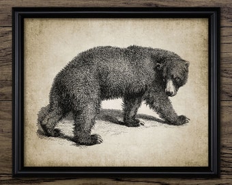 Vintage Bear Wall Art, Printable Bear, Vintage Bear Illustration, Black Bear #151 INSTANT DOWNLOAD