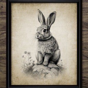 Cute Bunny Wall Art, Printable Bunny, Rabbit Wall Art, Rabbit Print, Cute Rabbit Nursery Wall Art, Baby Room Art #4304 INSTANT DOWNLOAD