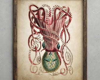 Antique Octopus Print, Bathroom Decor, Marine Wall Art, Vintage Octopus Illustration, Shabby Chic Artwork