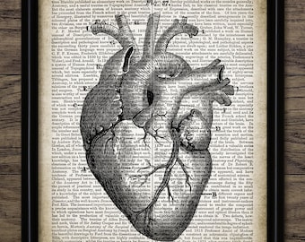 Human Heart Print On Dictionary Page Background, Printable Human Heart Anatomy Illustration, Human Biology Science #1300 INSTANT DOWNLOAD