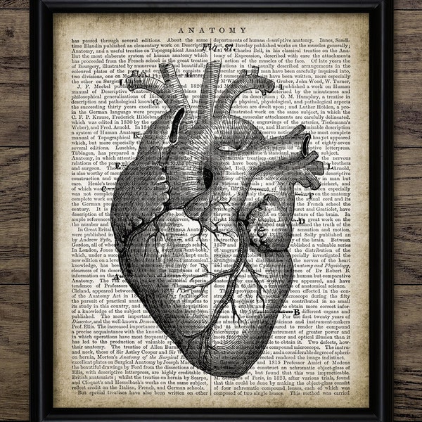 Human Heart Print On Dictionary Page Background, Printable Human Heart Anatomy Illustration, Human Biology Science #1300 INSTANT DOWNLOAD