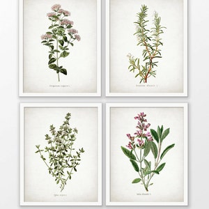 Herb Wall Art Set of 4, Printable Kitchen Herbs, Oregano, Rosemary, Sage, Thyme, Cooking, Cook, Chef, Rustic Kitchen #1640 INSTANT DOWNLOAD