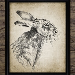 Rabbit Drawing, Printable Rabbit Drawing, Rabbit Wall Art, Rabbit Print, Cute Rabbit Nursery Wall Art, Jackrabbit #3440 INSTANT DOWNLOAD