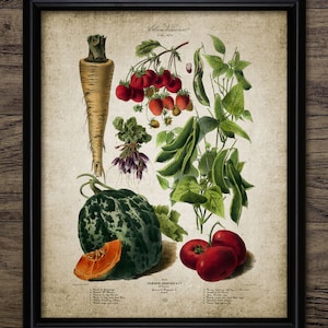 Vegetables Wall Art, Printable Kitchen Vegetable, Cooking, Rustic Kitchen Wall Art, Cookery, Vegetable Garden #200 INSTANT DOWNLOAD