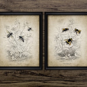 Honey Bee And Bumble Bee Art Set Of 2, Queen Bee, Apiary, Bee Yard, Apiarist Gift, Honeycomb, Beehive, Beekeeping #3039 INSTANT DOWNLOAD