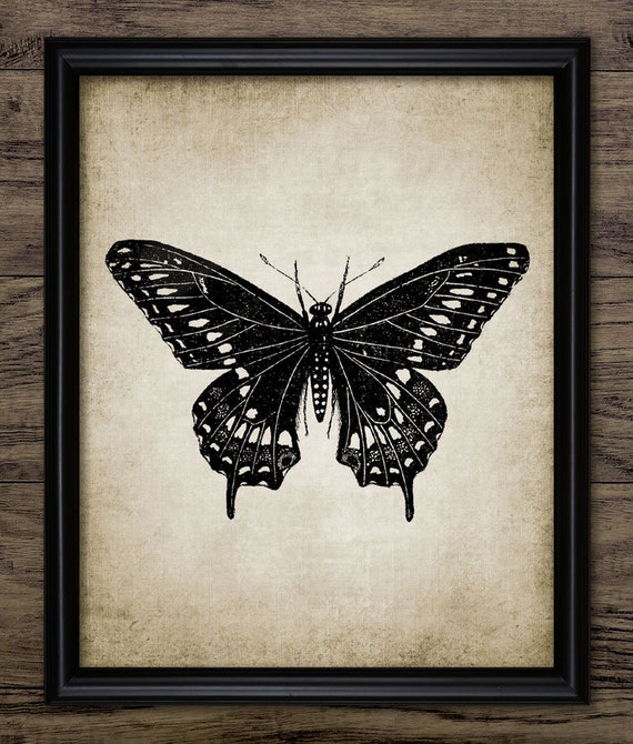 Butterfly Wall Art, Printable Butterfly, Insect, Vintage Butterfly Drawing, Garden Butterfly, Invertebrate, Biology #61 INSTANT DOWNLOAD