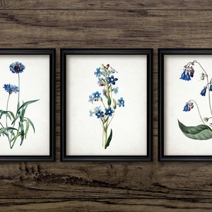 Blue Flowers Wall Art Set Of 3, Printable Blue Flower, Blue Botanical Art, Floral, Antique Botanical, Garden Flower #1962 INSTANT DOWNLOAD