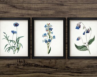 Blue Flowers Wall Art Set Of 3, Printable Blue Flower, Blue Botanical Art, Floral, Antique Botanical, Garden Flower #1962 INSTANT DOWNLOAD