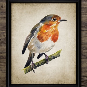 Robin Watercolor Painting, Printable Robin Redbreast Painting, Bird Decor, Robin Bird Wall Art, Cute Bird Wall Art #4052 INSTANT DOWNLOAD
