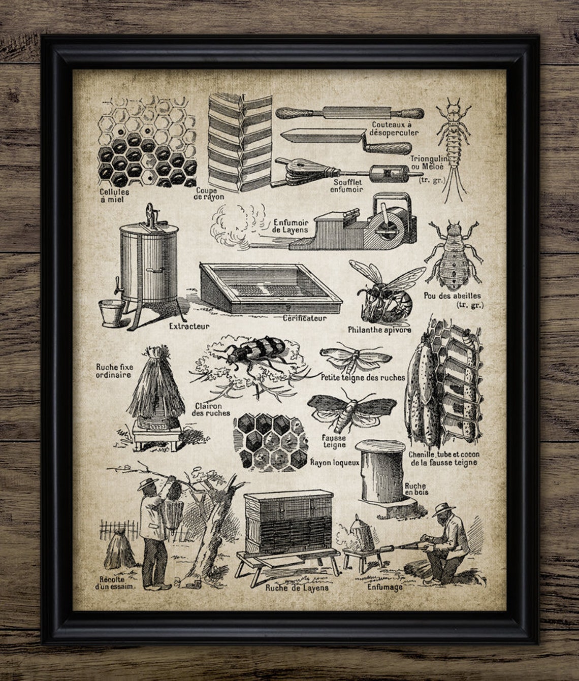 Vintage Beekeeping Print Beekeeping Equipment Honey Bee Etsy