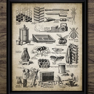 Beekeeping Wall Art, Printable Beekeeping Equipment, Honey Bee, Queen, Worker, Beehive, Apiarist, Bee Yard, Apiary #3567 INSTANT DOWNLOAD
