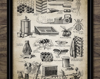 Beekeeping Wall Art, Printable Beekeeping Equipment, Honey Bee, Queen, Worker, Beehive, Apiarist, Bee Yard, Apiary #3567 INSTANT DOWNLOAD