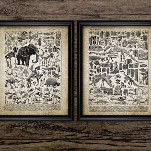 Prehistoric Wall Art Set of 2 Printable Dinosaur Extinct - Etsy