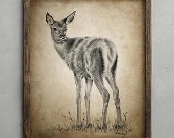 Fawn Pencil Drawing, Cute Animal Decor, Baby Deer Wall Art, Woodland Wildlife Sketch