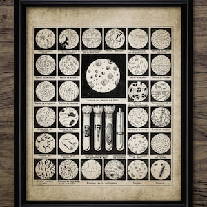 Bacteria Wall Art Print, Microbes, Bacteria Biology Wall Art, Science Decor, Biology Science Student Gift Idea #3422 INSTANT DOWNLOAD