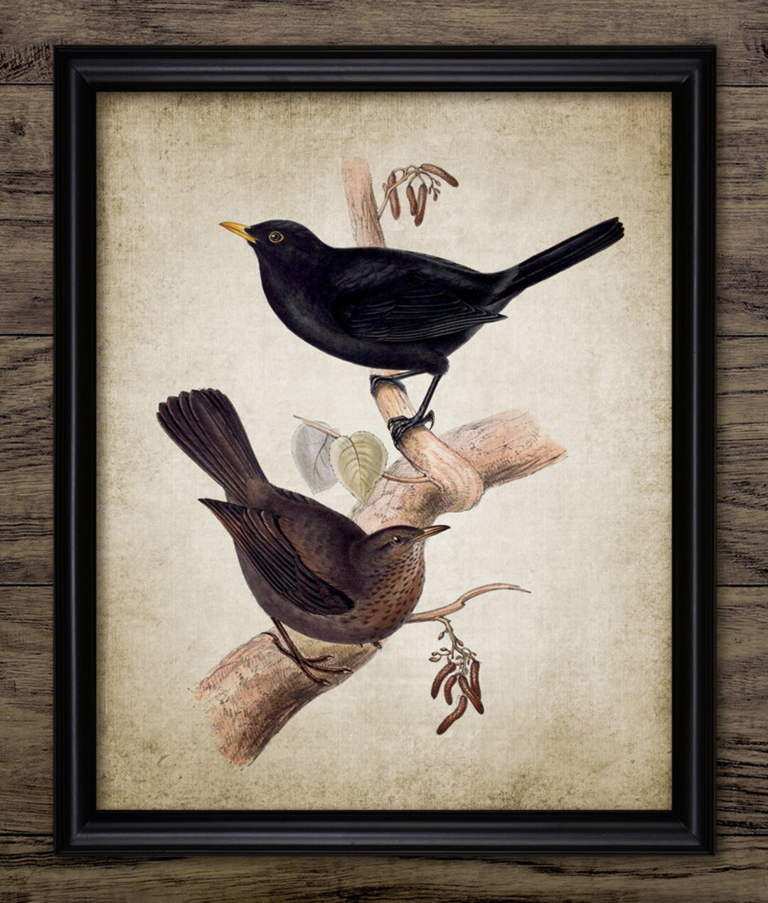 Blackbird Wall Art, Vintage Digital Print, Printable Bird Wall Art ...