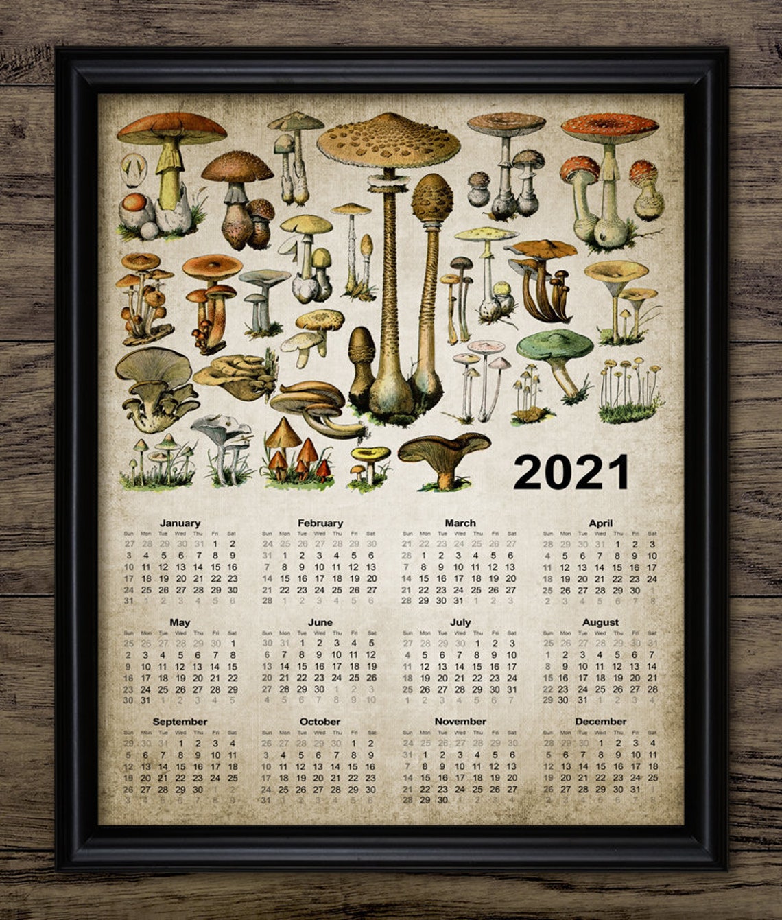 Mushroom Calendar 2021 Kitchen Mushroom Calendar Wild Forest Etsy