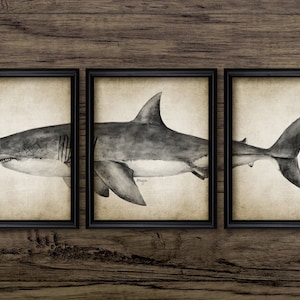 Great White Shark Watercolor Triptych Painting, Printable Shark Painting, Great White Shark, Shark Bathroom Decor #3430 INSTANT DOWNLOAD