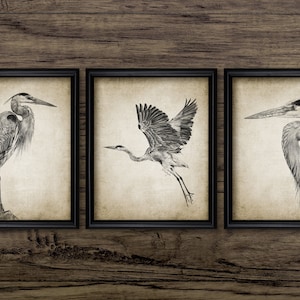 Heron Pencil Drawing Set Of Three, Printable Heron Drawing, Heron Bird Decor, Waterfowl Art, Freshwater Bird Art #3407 INSTANT DOWNLOAD